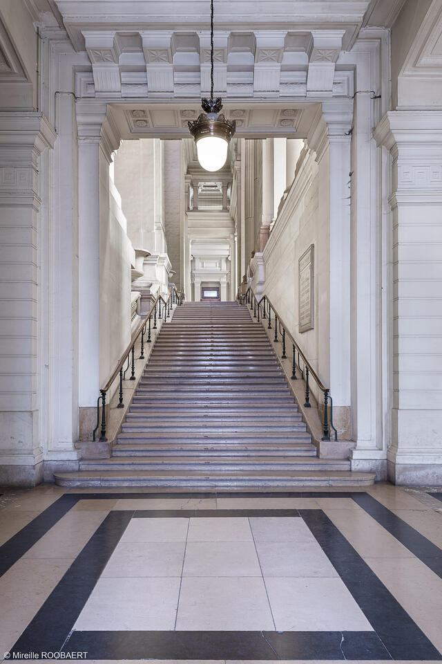 escalier pas perdus